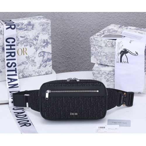 Christian Dior AAA Quality Belt Bags #1006679 $92.00 USD, Wholesale Replica Christian Dior AAA Quality Belt Bags