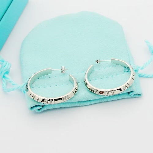 Tiffany Earrings For Women #1234003 $25.00 USD, Wholesale Replica Tiffany Earrings