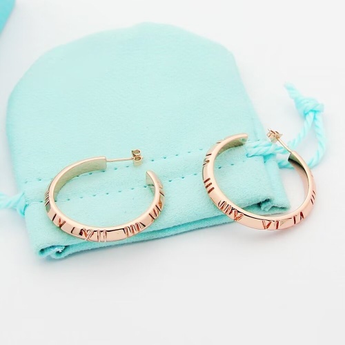 Tiffany Earrings For Women #1234005 $25.00 USD, Wholesale Replica Tiffany Earrings