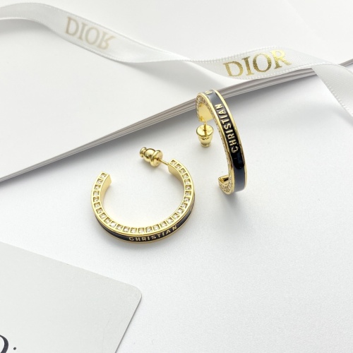 Christian Dior Earrings For Women #1253762 $38.00 USD, Wholesale Replica Christian Dior Earrings