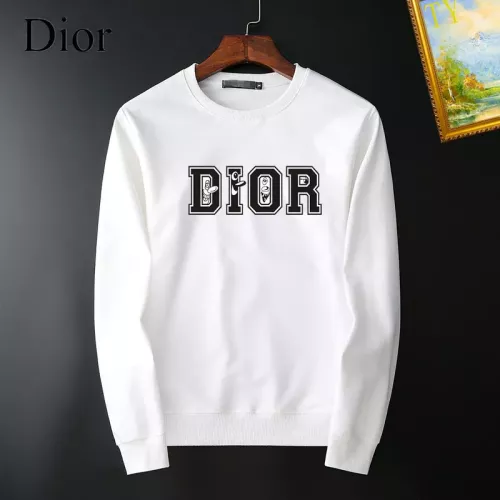 Christian Dior Hoodies Long Sleeved For Men #1276923 $40.00 USD, Wholesale Replica Christian Dior Hoodies