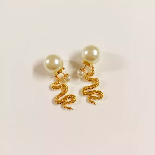 Christian Dior Earrings For Women #1281307 $36.00 USD, Wholesale Replica Christian Dior Earrings