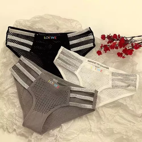 LOEWE Underwears For Women #1300803 $32.00 USD, Wholesale Replica LOEWE Underwears