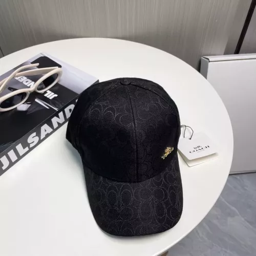 Replica Coach Caps #1310606 $25.00 USD for Wholesale