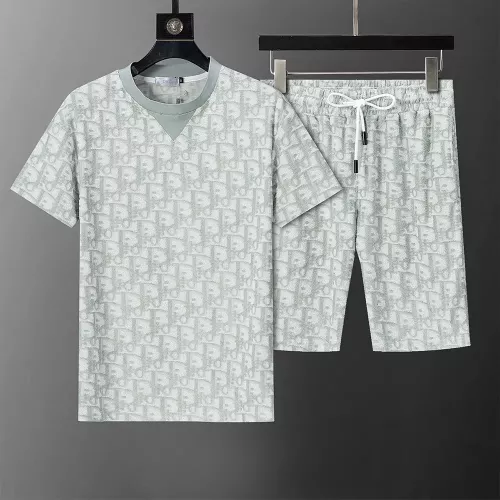 Christian Dior Tracksuits Short Sleeved For Men #1315578 $42.00 USD, Wholesale Replica Christian Dior Tracksuits