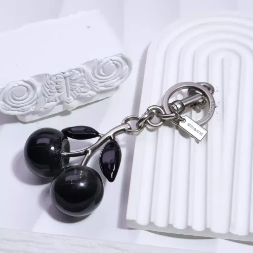 Coach Key Holder And Bag Buckle #1336515 $32.00 USD, Wholesale Replica Coach Key Holder And Bag Buckle