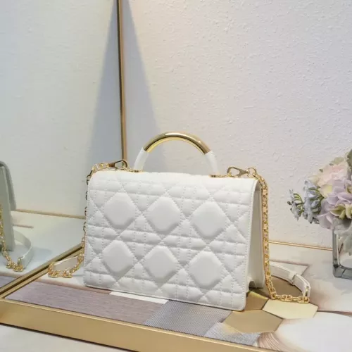 Replica Christian Dior AAA Quality Handbags For Women #1355488 $98.00 USD for Wholesale