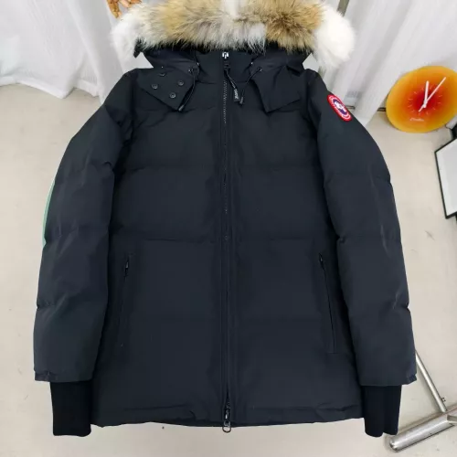Canada Goose Down Feather Coat Long Sleeved For Women #1363624 $160.00 USD, Wholesale Replica Canada Goose Down Feather Coat