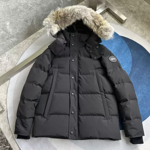 Canada Goose Down Feather Coat Long Sleeved For Men #1366613 $160.00 USD, Wholesale Replica Canada Goose Down Feather Coat