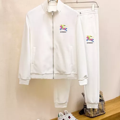 Burberry Tracksuits Long Sleeved For Men #1377254 $96.00 USD, Wholesale Replica Burberry Tracksuits