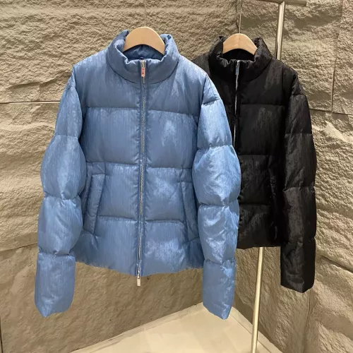 Christian Dior Down Feather Coat Long Sleeved For Unisex #1380246 $215.00 USD, Wholesale Replica Christian Dior Down Feather Coat