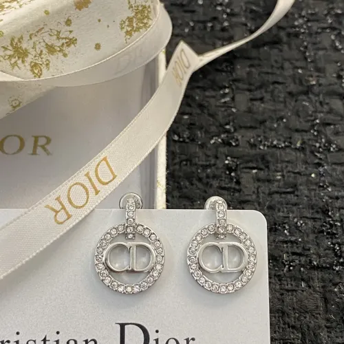 Christian Dior Earrings For Women #1390824 $27.00 USD, Wholesale Replica Christian Dior Earrings