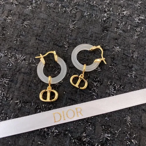 Christian Dior Earrings For Women #1390833 $32.00 USD, Wholesale Replica Christian Dior Earrings