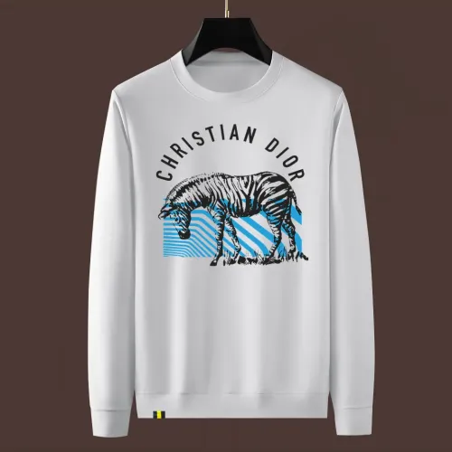 Christian Dior Hoodies Long Sleeved For Men #1394131 $48.00 USD, Wholesale Replica Christian Dior Hoodies