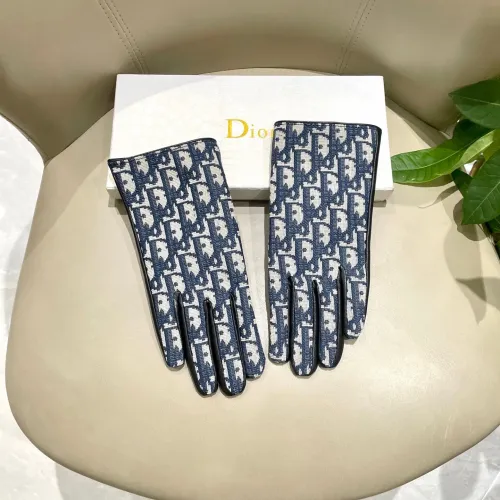 Christian Dior Gloves For Women #1396628 $45.00 USD, Wholesale Replica Christian Dior Gloves